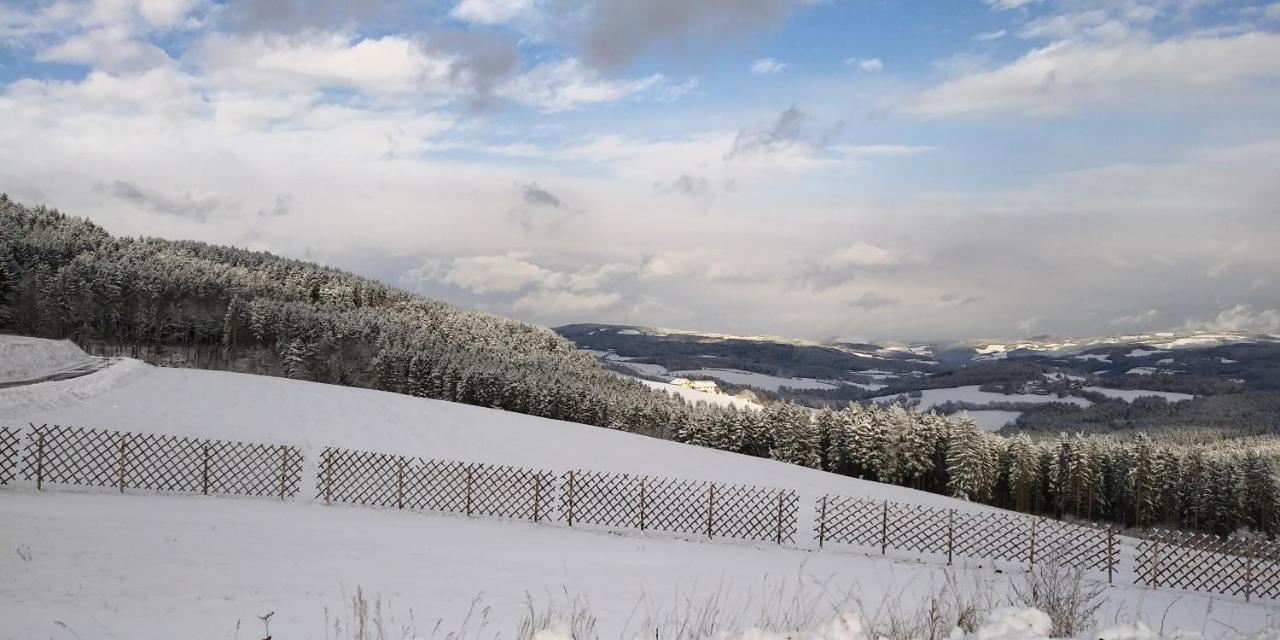 Wald-Panorama-Zimmer Bed and Breakfast Mönichkirchen Eksteriør billede