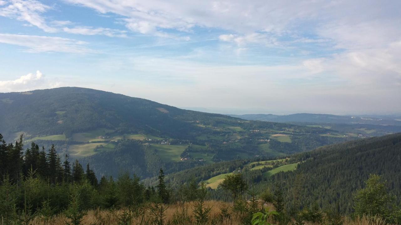Wald-Panorama-Zimmer Bed and Breakfast Mönichkirchen Eksteriør billede