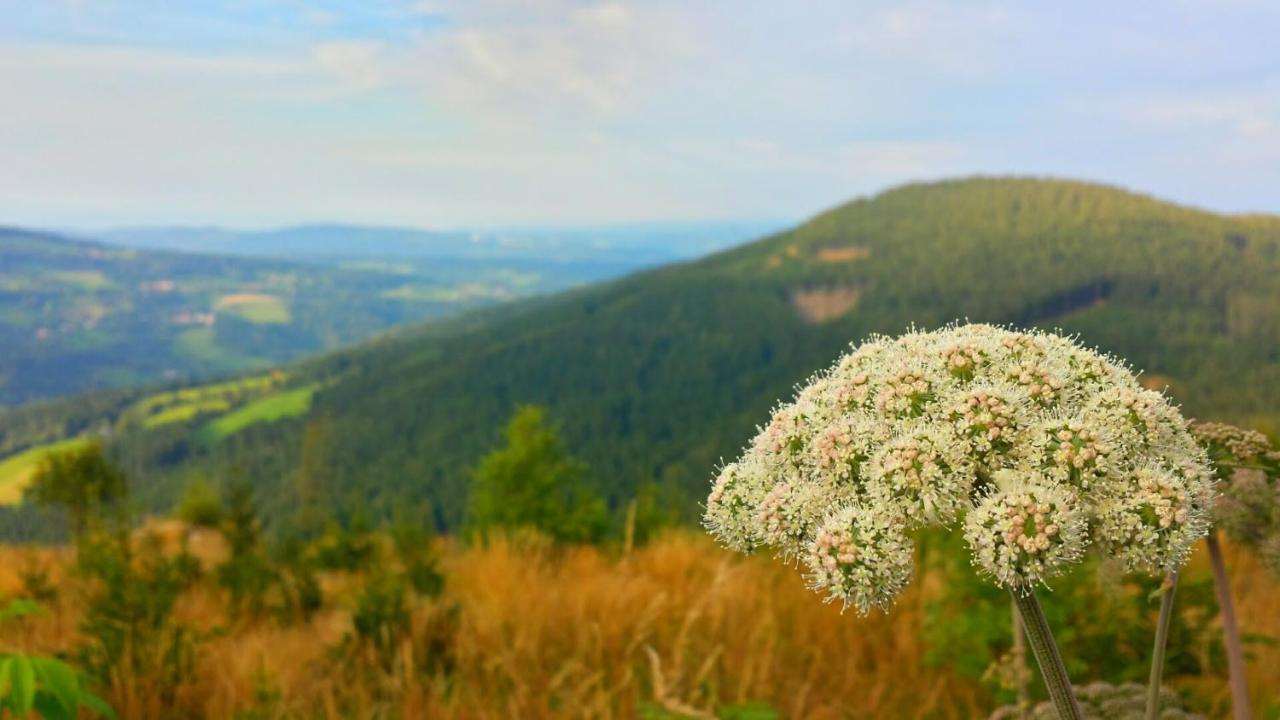 Wald-Panorama-Zimmer Bed and Breakfast Mönichkirchen Eksteriør billede